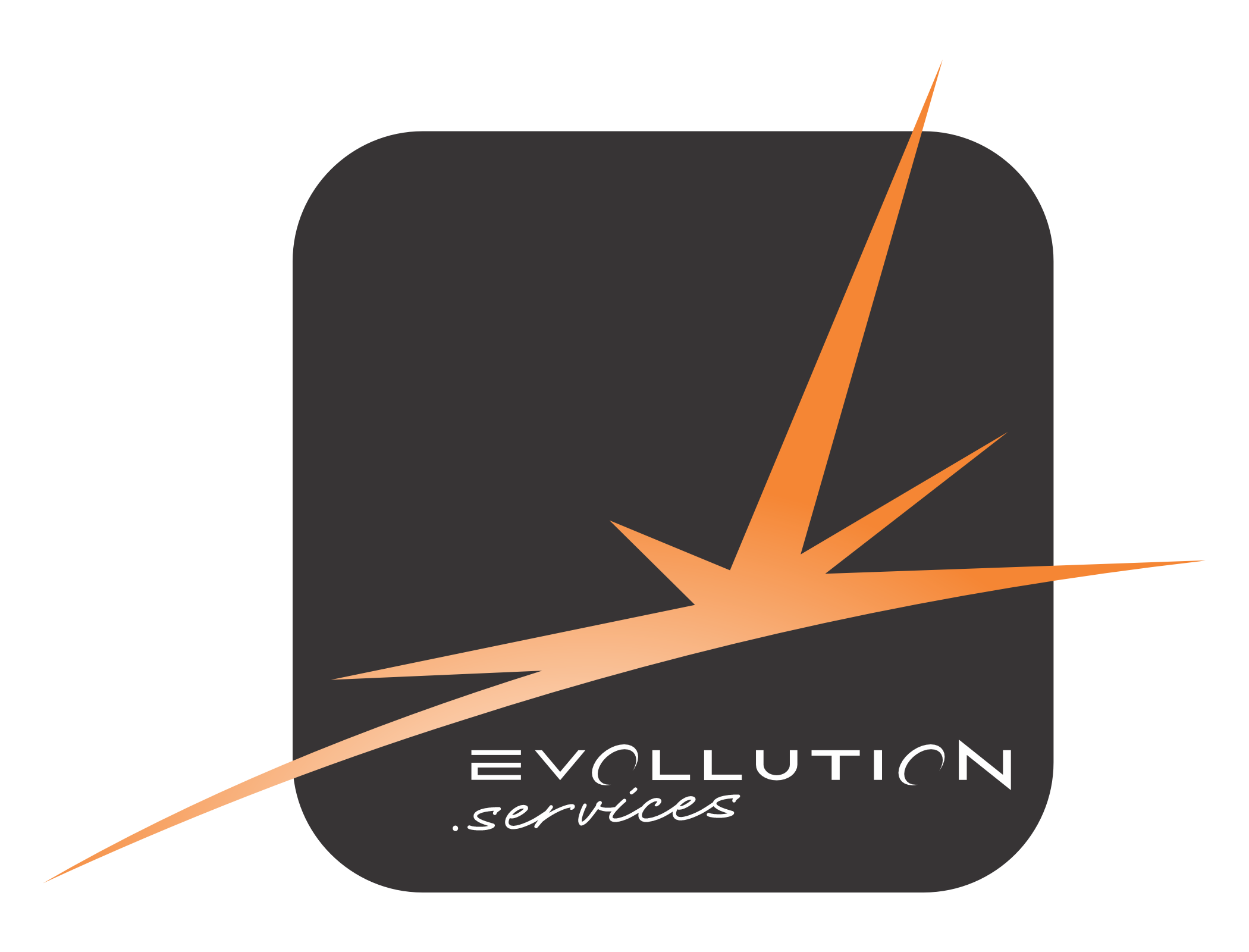Evollution Services
